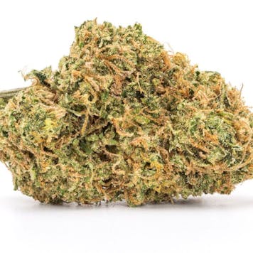 Photo of Golden Goat